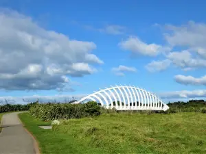 New Plymouth Coastal Walkway