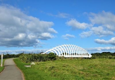 New Plymouth Coastal Walkway
