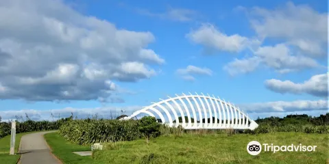 New Plymouth Coastal Walkway