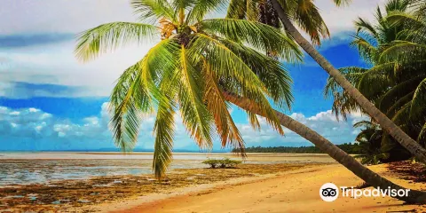 Ponta de Castelhanos