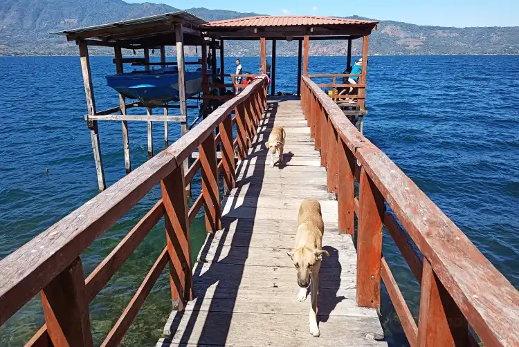Hotels near Lago de Coatepeque