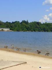 Lake Ronkonkoma County Park