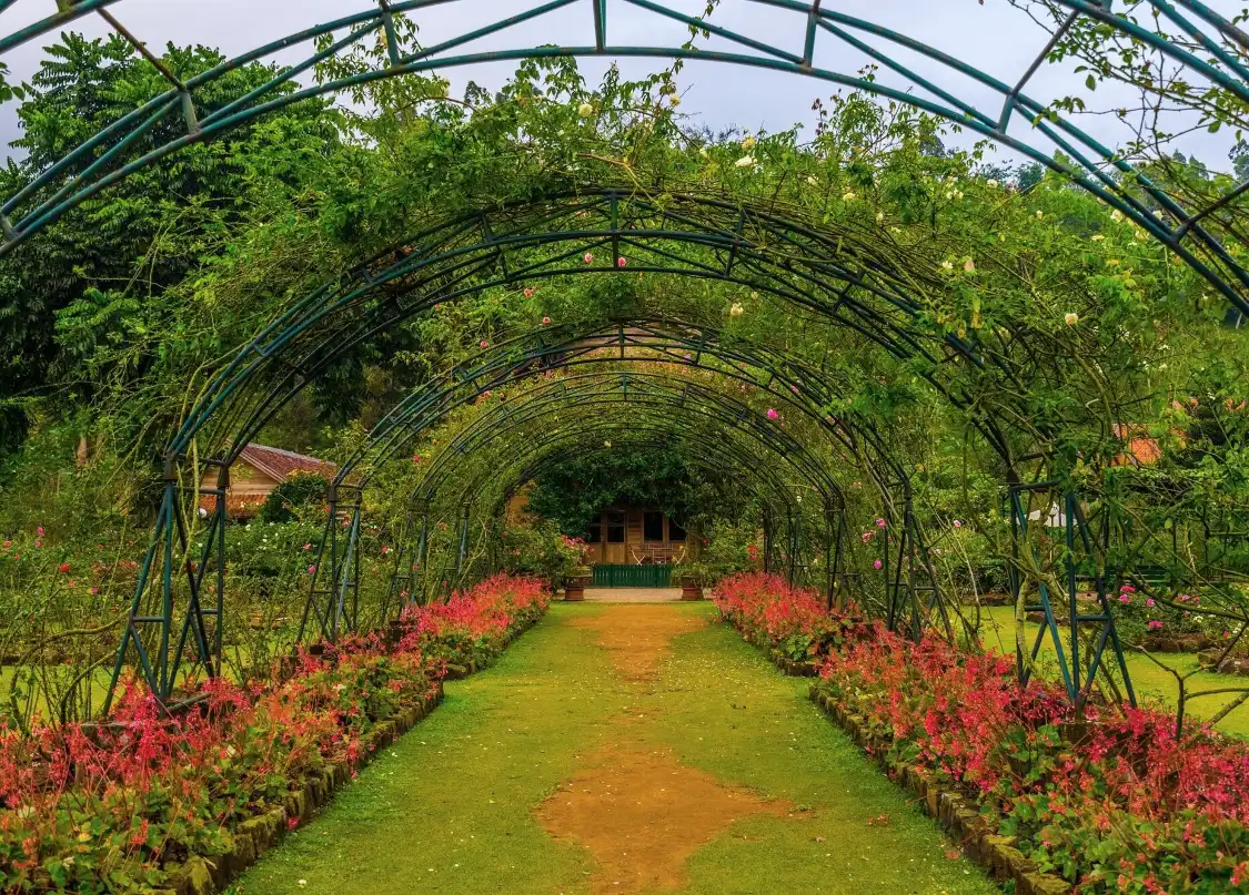 Hotels near Kebun Mawar Garut