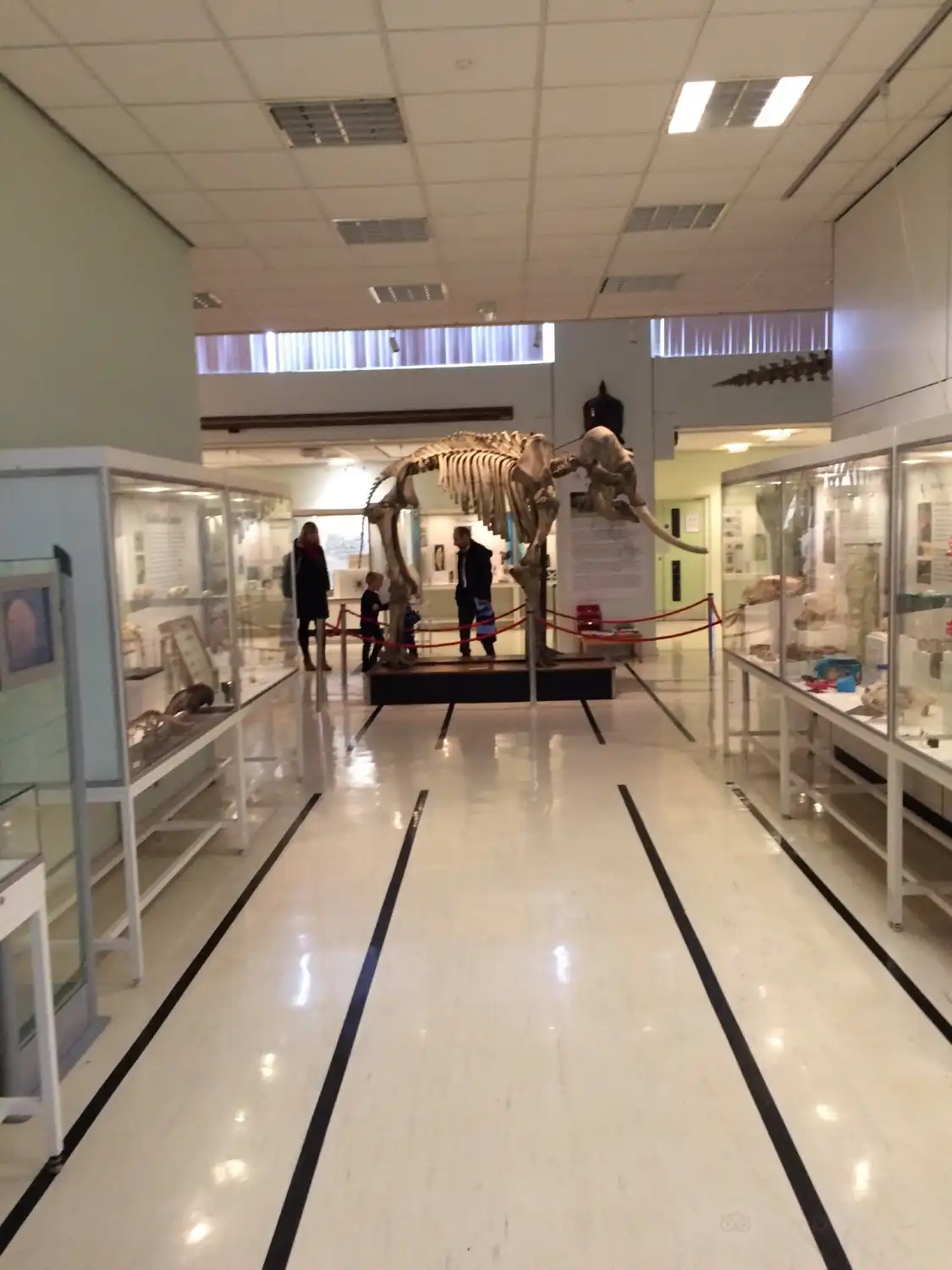 Hotel dekat The Cole Museum of Zoology