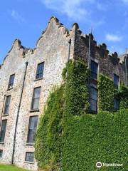 Galgorm Castle Fairy Trail