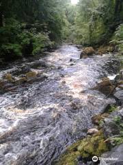 Cladagh Glen Walk