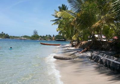 Ilha do Goio Beach