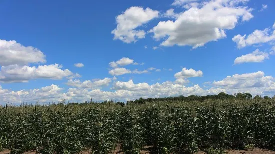 Stade's Farm and Market