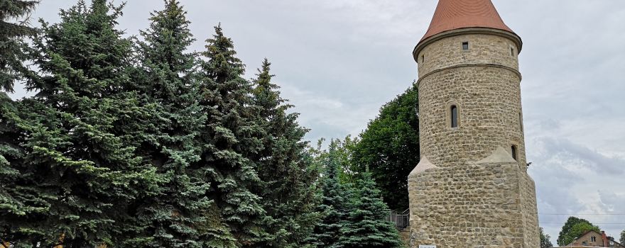 Tower Gate Bolesławiecka