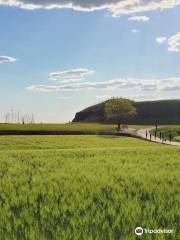 Yeoncheon Horogoru Ruins