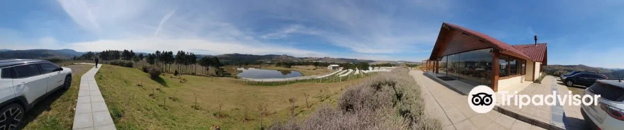 4_Vinhedos do Monte Agudo