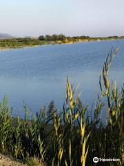 Lake Zhalanashkol