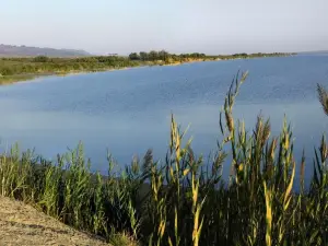 Lake Zhalanashkol