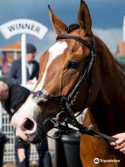 Brighton Racecourse