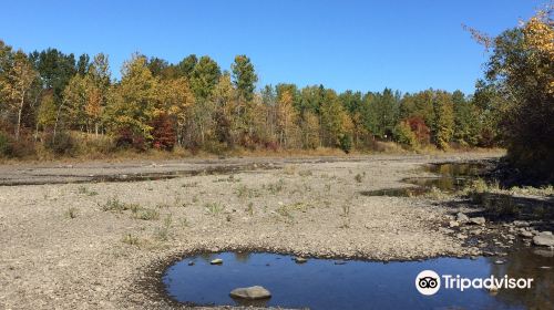 Parc Beauséjour