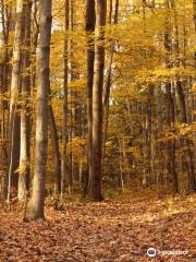 HR Frink Conservation Area and Outdoor Education Centre