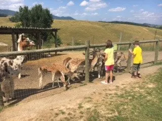 Fort Chiswell Animal Park