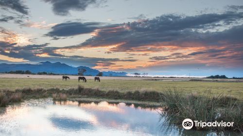 Plettenberg Bay Game Reserve