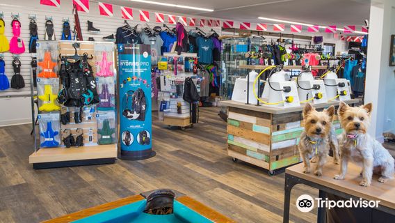 Maui Diving- Scuba & Snorkel Center