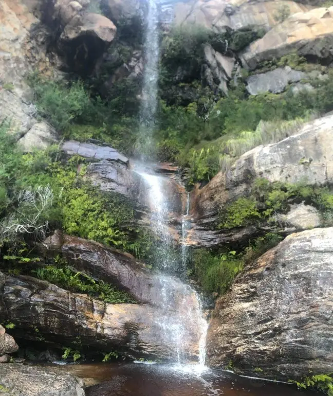Roses Gap