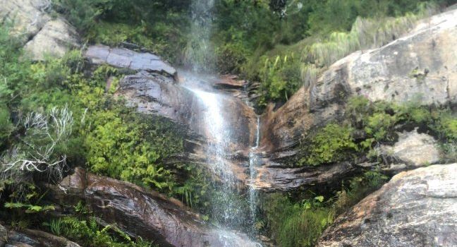 Roses Gap