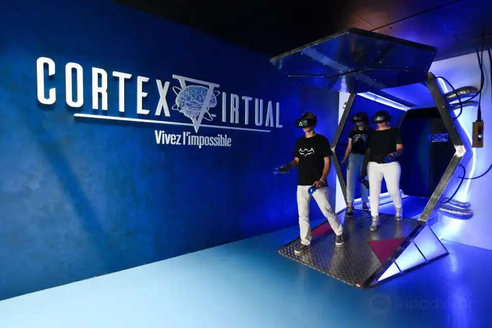 2_CortexVirtual