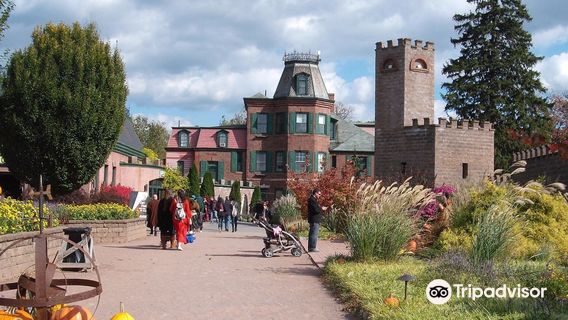 Mount Hope Estate & Winery