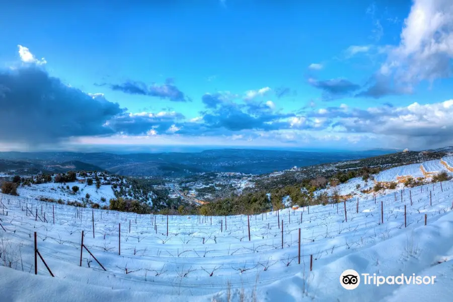 Batroun Mountains Organic Winery