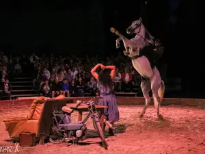 Haras National de Cluny