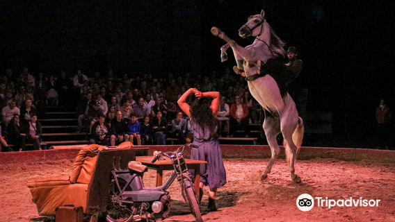 Haras National de Cluny