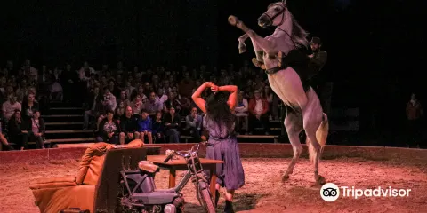 Haras National de Cluny