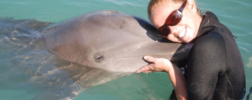 Dolphin Connection