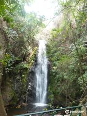 Parque Los Chorros