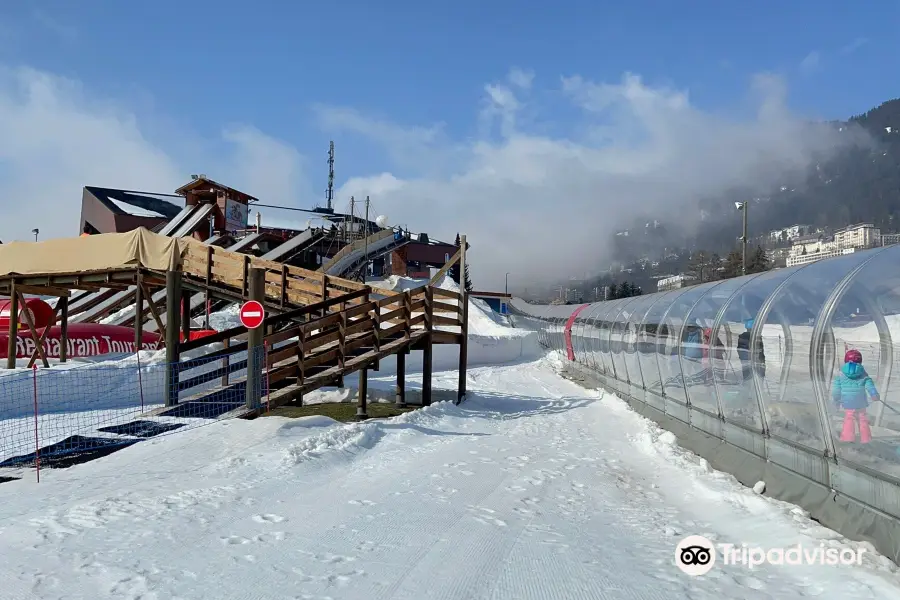 Tobogganing Park