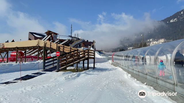 Tobogganing Park