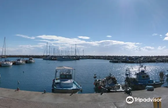 皮賽馬蒂斯梅諾斯