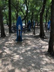 Parque Gandhi
