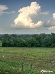 Carl Monk Sr. Overlook