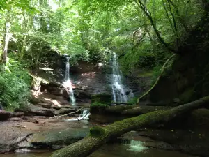 Pwll y Wrach nature reserve