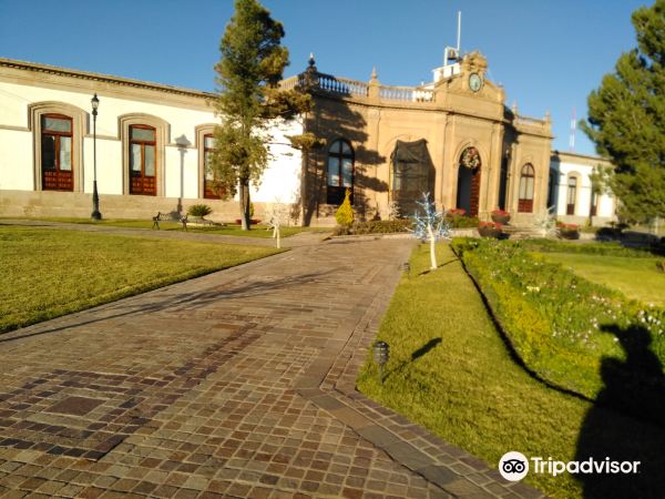 New York to Durango flight