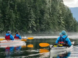 North Island Kayak