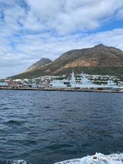 Simons Town Boat Company