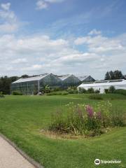 Utrecht Botanic Gardens