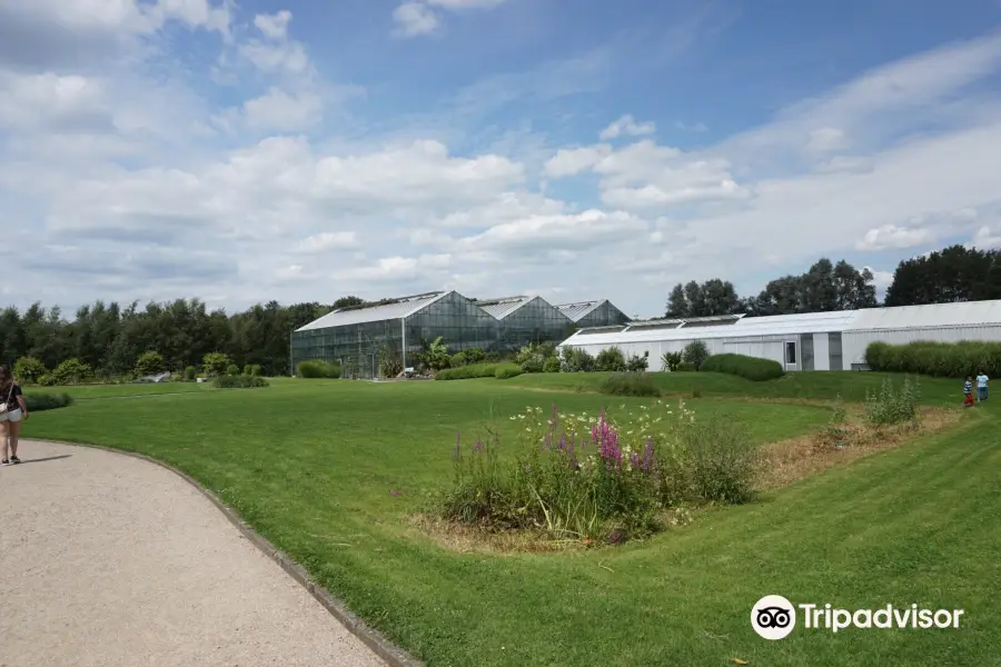 Botanischer Garten der Universität Utrecht