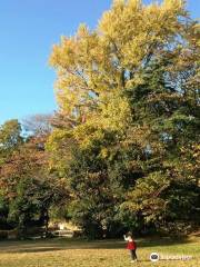 田園調布せせらぎ公園