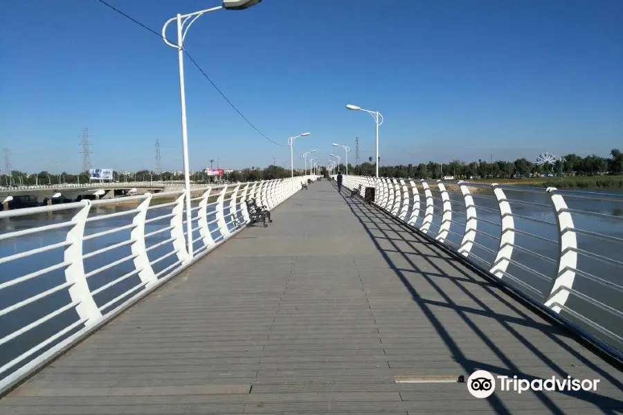 Nature Bridge