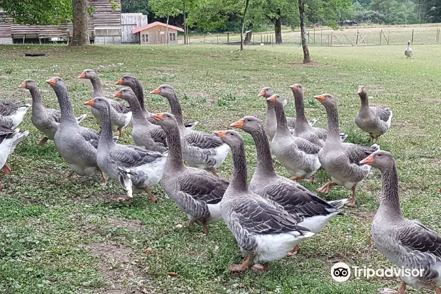 Ferme du Brusquand