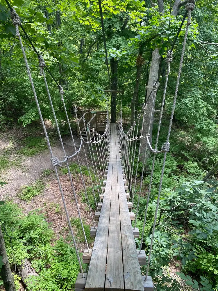 Grafton
