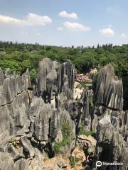 Mt. Zhongling Forest Park