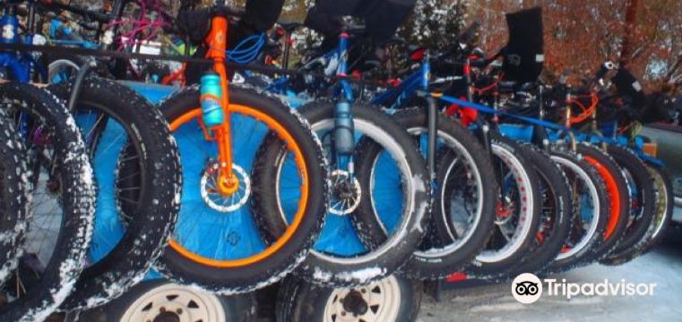 Huntingdon visual data 7